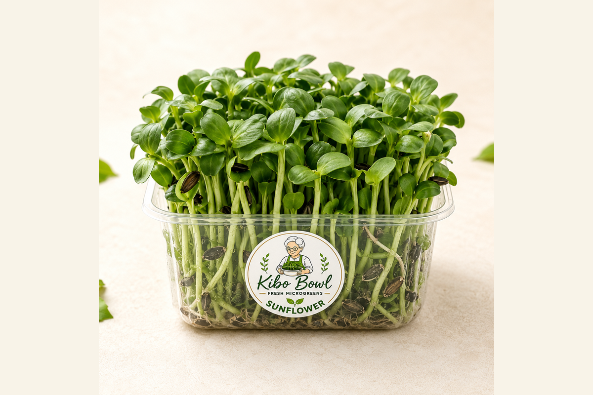 Sunflower microgreens in a Kibo Bowl container